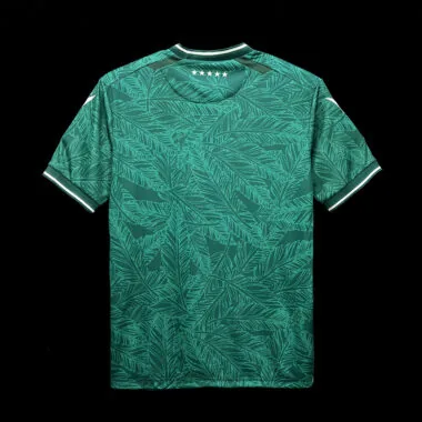 24-25 Santiago Wanderers home Jersey