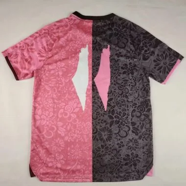 25-26 Palestine special version pink grey Jersey