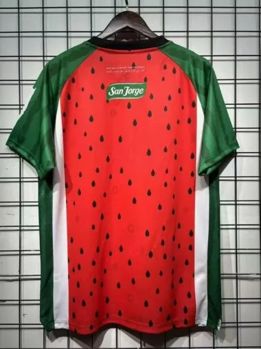 Maillot extérieur n° 3 du Palestino (saisons 25-26)