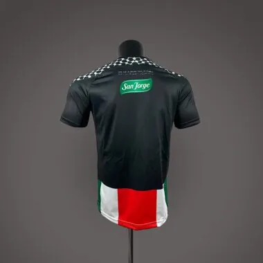 CD Palestino Palestino 2026/27 home Jersey (S-4XL)