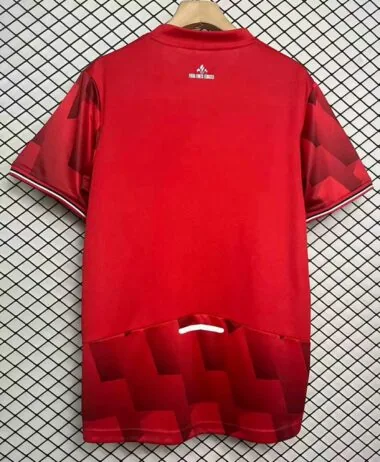 25-26 Lille home Jersey
