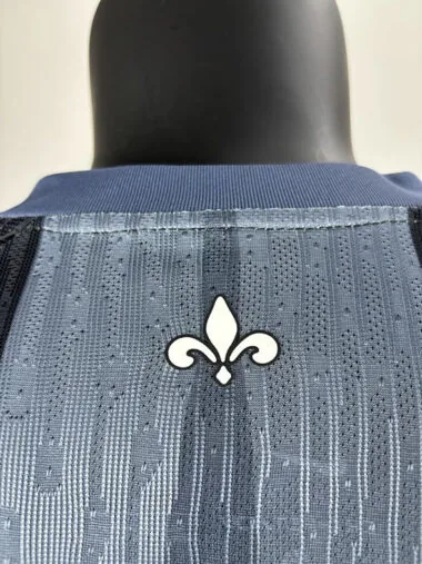 25-26 PSG gray special player version