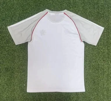 Lyon 2025/26 Gray and White Shirt (S-2XL)