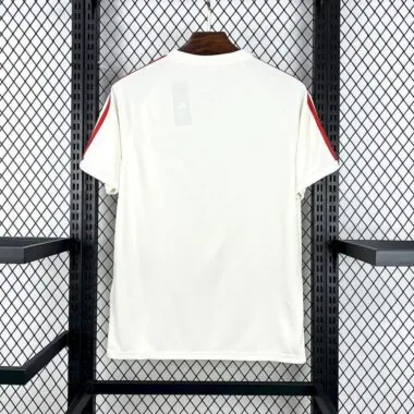 Olympique Lyonnais 2025/26 Anniversary Edition Jersey