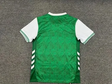 Saint-Étienne 2025/26 Home Jersey (S-4XL)