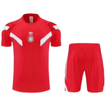 25-26 Bayern red training suit