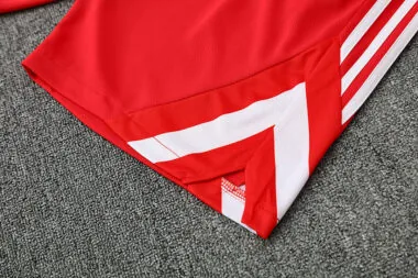 25-26 Bayern red training suit