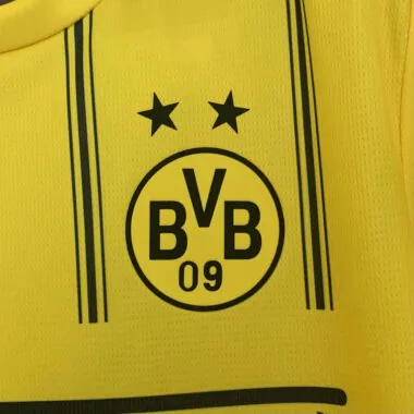 25-26 Dortmund ONE PIECE special jersey