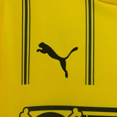 25-26 Dortmund ONE PIECE special jersey