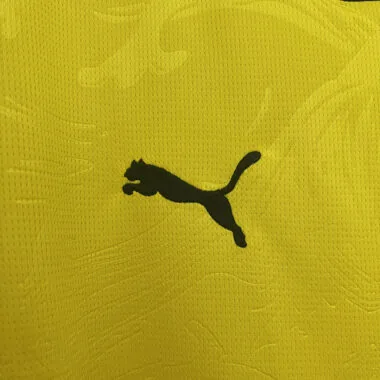 25-26 Dortmund yellow special jersey