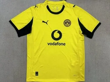 Dortmund 2025/26 yellow special jersey size S-2XL