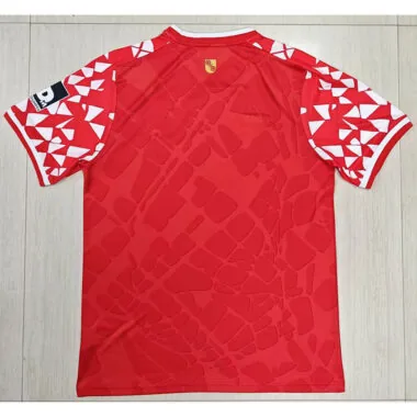 FSV Mainz 05 2025/26 Home Soccer Jersey