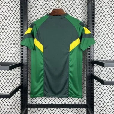 24-25 Celtic Green special jersey