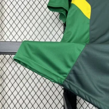 24-25 Celtic Green special jersey