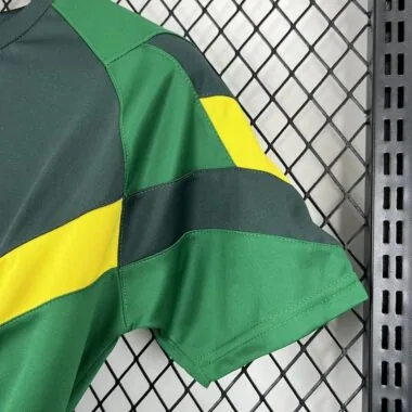 24-25 Celtic Green special jersey
