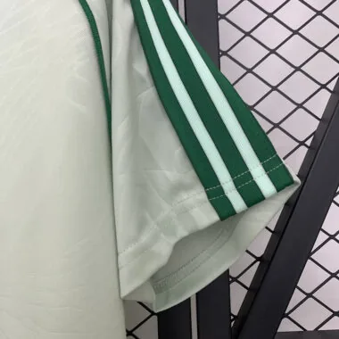 25-26 Celtic green special jersey