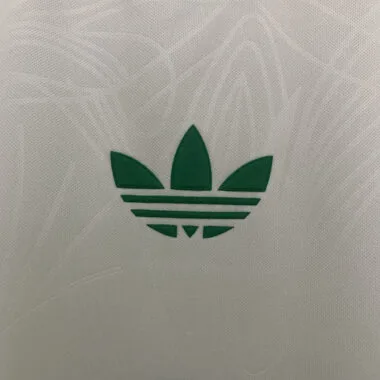 25-26 Celtic green special jersey