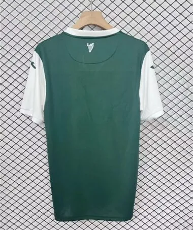 25-26 Hibernian home Jersey