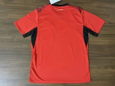 Egypt 2026 World Cup Home Jersey (S-4XL)