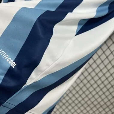 Mens Argentina 2026 World Cup Special Jersey (S-2XL)