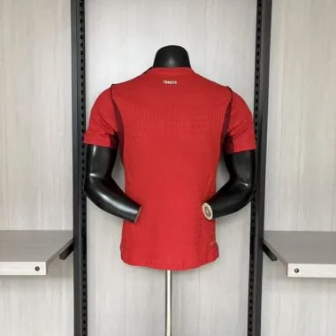 Turkey 2026 World Cup Home Player Version Jersey (S-2XL)