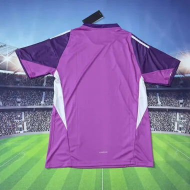 25-26 Chivas Purple Goalkeeper Jersey