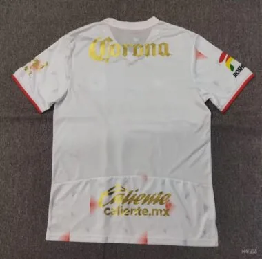 25-26 Toluca away Jersey