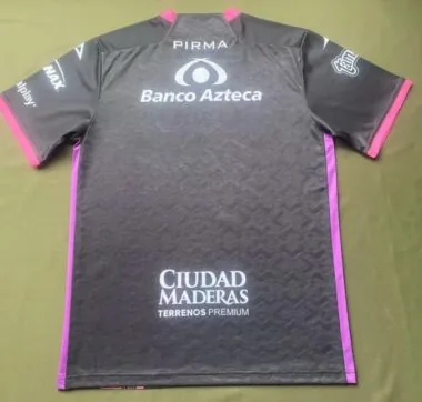 Puebla 2025/26 Away Soccer Jersey