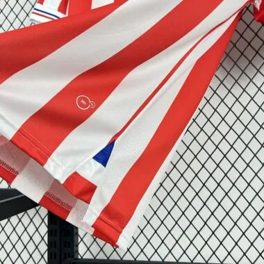 Retro Chivas 2016/17 110th Anniversary Jeresy
