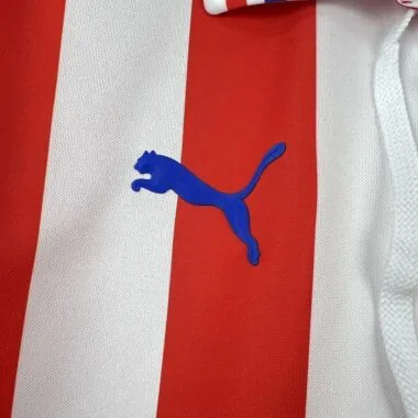 Retro Chivas 2016/17 110th Anniversary Jeresy