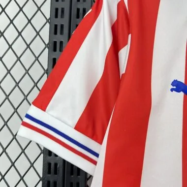 Retro Chivas 2016/17 110th Anniversary Jeresy