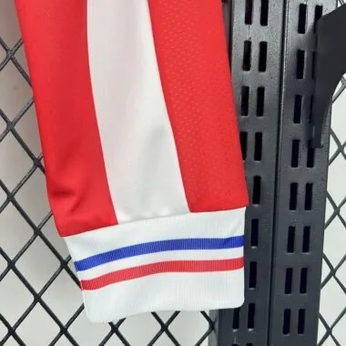 Retro Chivas 2016/17 110th Anniversary Long sleeves Jeresy