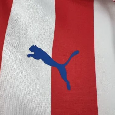 Retro Chivas 2016/17 110th Anniversary Long sleeves Jeresy