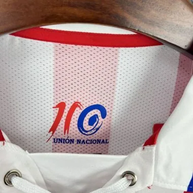 Retro Chivas 2016/17 110th Anniversary Long sleeves Jeresy