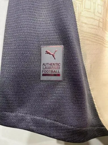 25-26 AC special GC special Player version Jersey