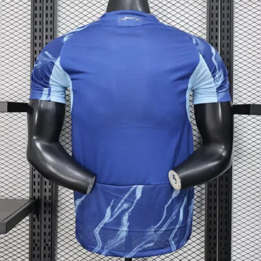 Camiseta del Ajax para jugador, versión visitante, 25-26