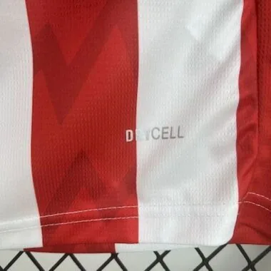 25-26 PSV Eindhoven Home Jersey