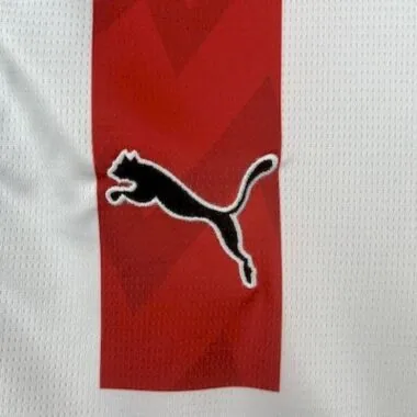 25-26 PSV Eindhoven Home Jersey