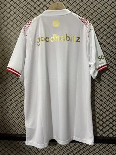 PSV Eindhoven 2025/26 Tjird Away Jersey (S-4XL)