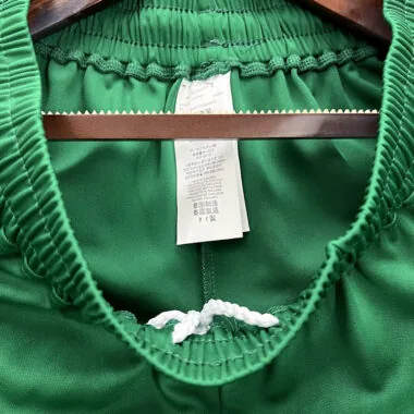 Palmeiras Green shorts