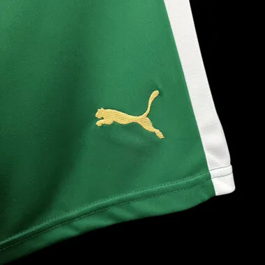 Palmeiras Green shorts