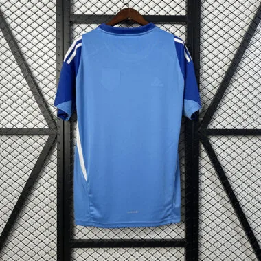 25-26 Atletico Madrid blue goalkeeper jersey