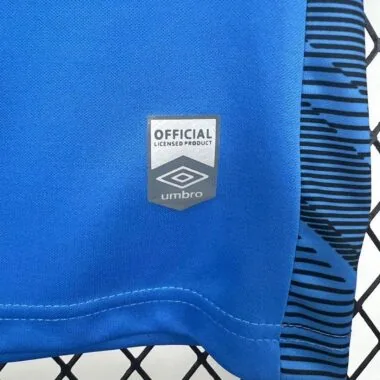 25-26 Santos blue goalkeeper jersey