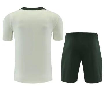 Chelsea 2025/26 Light Green Training suit (S-2XL)