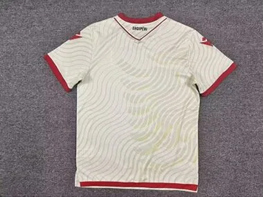 Albania 2026 World Cup Away Soccer Jersey (S-4XL)