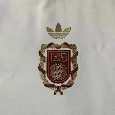 25-26 Bayern 125th hoodies