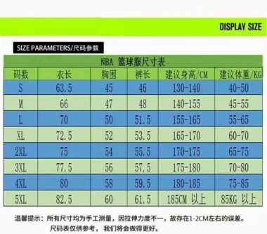 855#新篮网队城市版