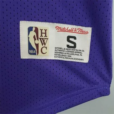Mitchellness Lakers Purple No. 32 Johnson Retro Mesh Short Sleeve