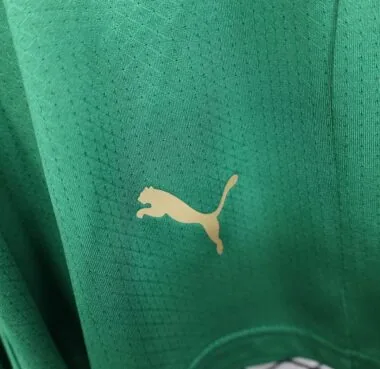 Morocco 2026 Green Player Version Shorts