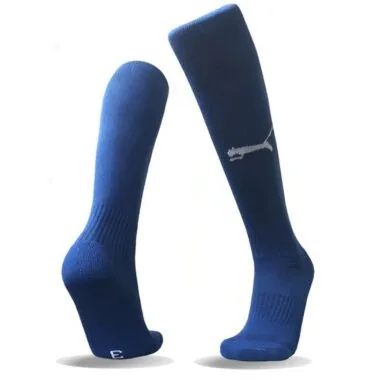 Official version of LOGO socks